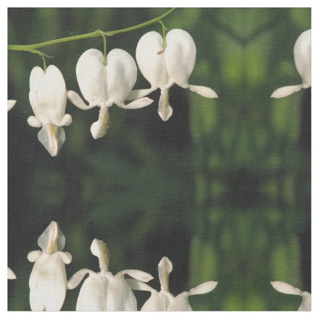 Tissu Défenseur de la veuve et de l'orphelin blanc (Fermer)