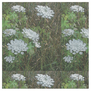 Tissu Dentelle blanche de la Reine Anne Fleur sauvage