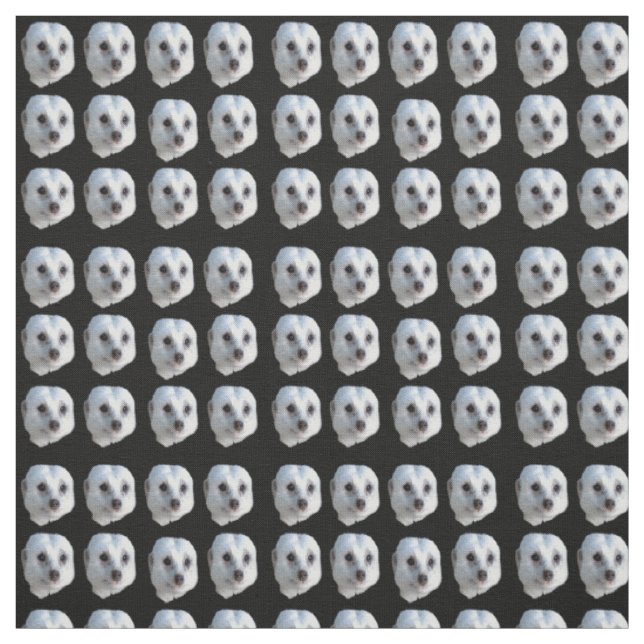 Tissu Des Visages De Meerkat Blanc Sur Noir, (Échantillon)