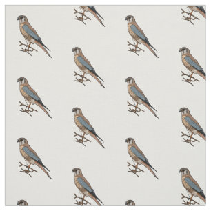 Tissu dessin animé d'oiseau-kestrel américain