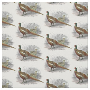 Tissu Dessin de faisan vintage couleur #2
