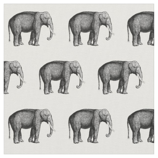 Tissu Dessin Vintage d'Éléphant (Fermer)