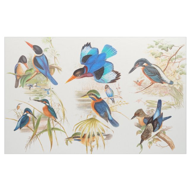 Tissu d'étang d'animaux de faune d'oiseaux de (Yard)