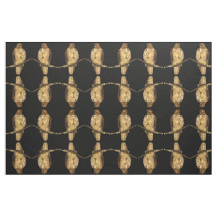 Tissu d'oiseau de faucon coupé la queue par rouge