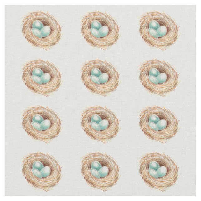 Tissu d'oiseau de nid des oeufs de Robin (Fermer)