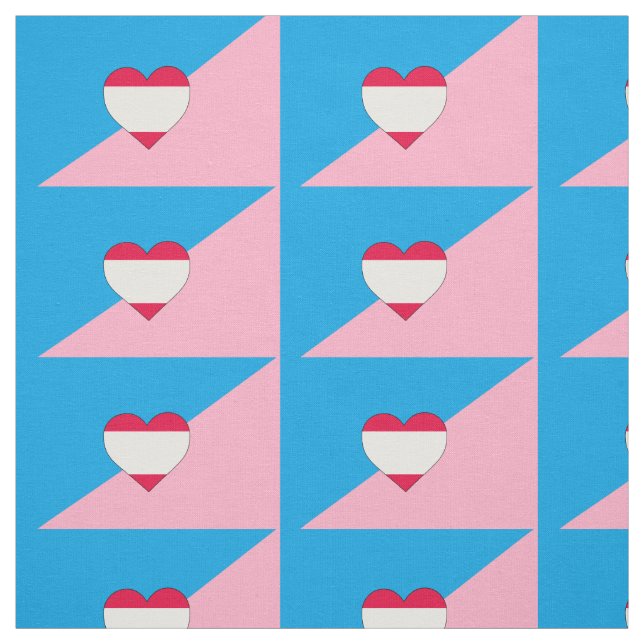 Tissu Drapeau de fierté de jeu d'âge (Échantillon)