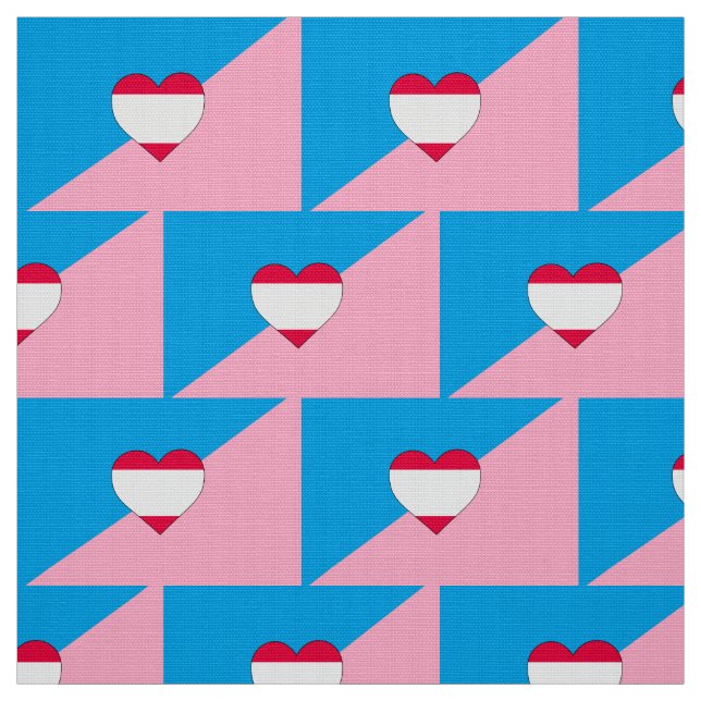 Tissu Drapeau de fierté de jeu d'âge (Échantillon)