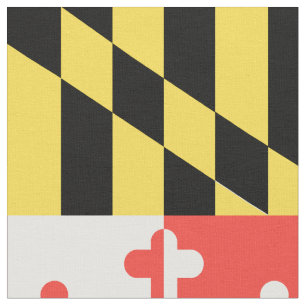 Tissu Drapeau MARYLAND 7x10