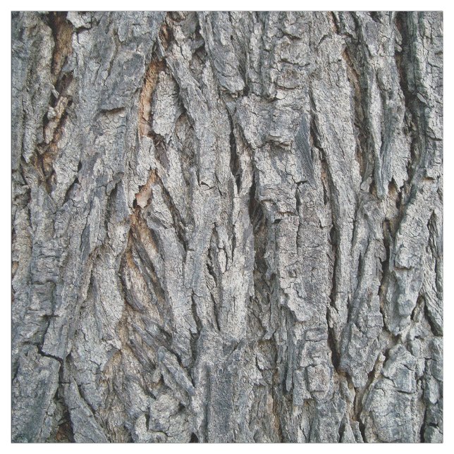Tissu D'un arbre (Échantillon)