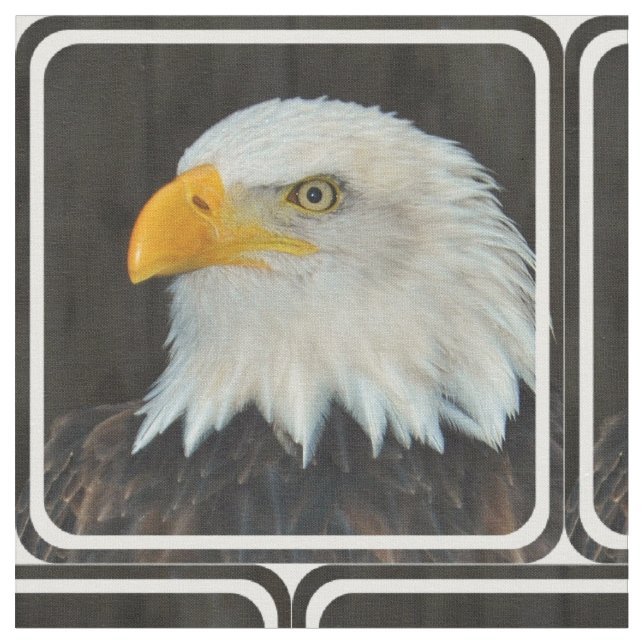 Tissu Eagle (Fermer)