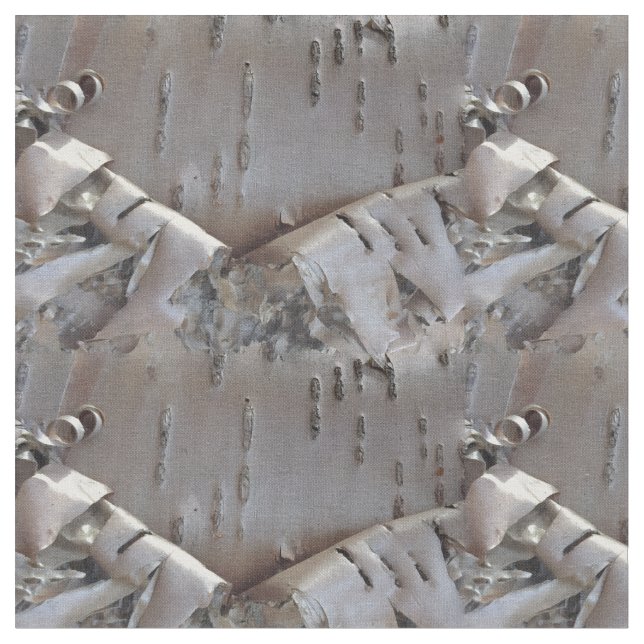 Tissu Écorce de bouleau frisé Arbre rustique (Fermer)