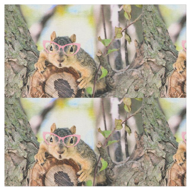 Tissu Écureuil chic (Fermer)