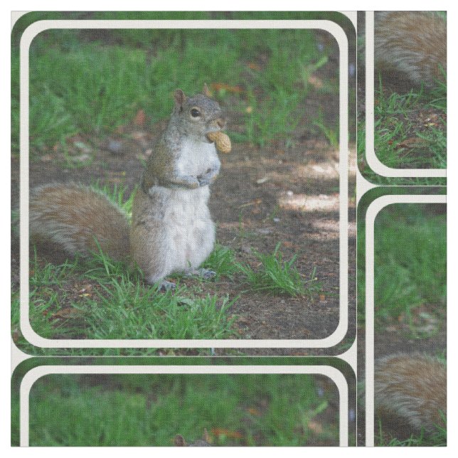 Tissu Écureuil idiot (Fermer)