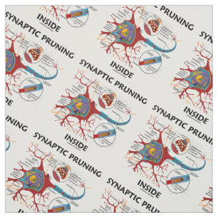 Tissu Élagage synaptique à l'intérieur de la neurolog