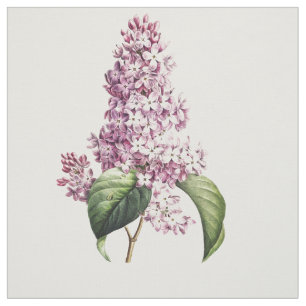 Tissu Élégant Vintage botanique pourpre Lilac Blossom