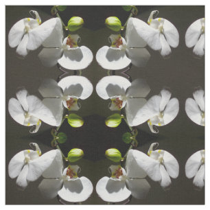 Tissu Elégante orchidée blanche photo tropical blanc flo