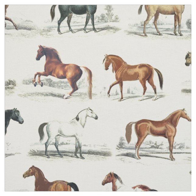 Tissu Élégantes races Vintages de chevaux (Échantillon)