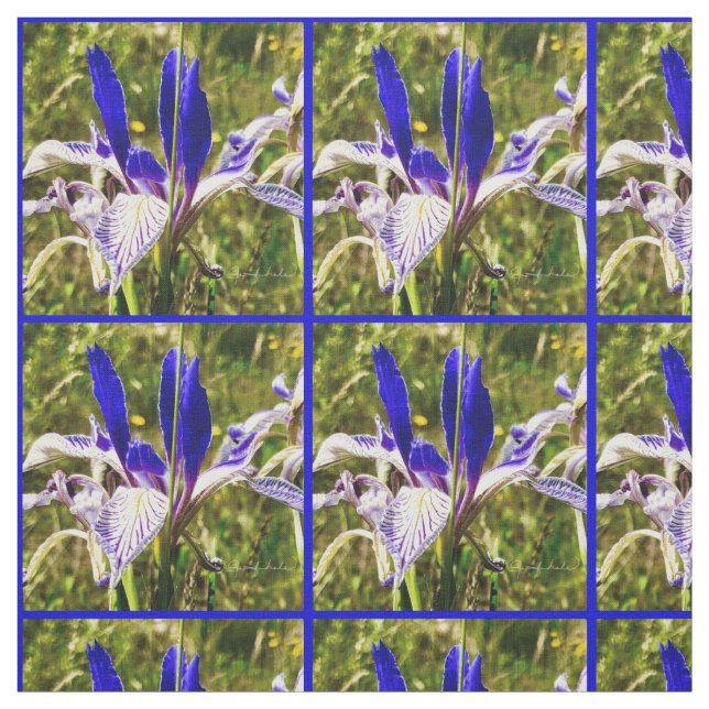 Tissu Elkhorn Mountain Iris (Échantillon)