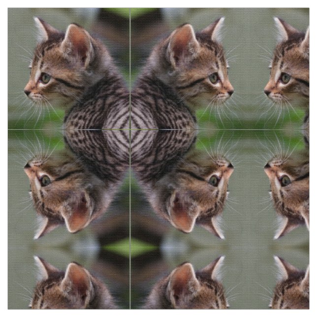Tissu en popeline de polyester miroir de chaton mi (Échantillon)
