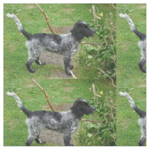Tissu english_cocker_spaniel rouan noir full.png