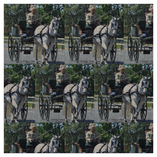 Tissu entraînement de chariot (Échantillon)