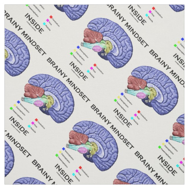 Tissu Esprit Brainy dans l'Humour Cerveau Anatomique (Échantillon)