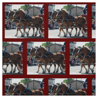 Tissu Évêque Mule Days 2018