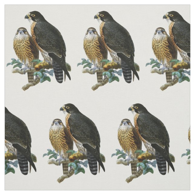 Tissu Falcons stylisés vintages sur une branche (Échantillon)