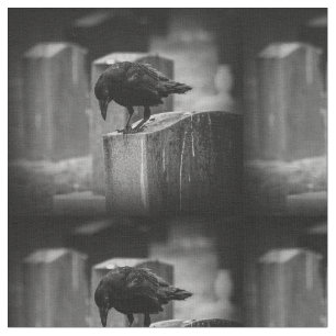 Tissu Falln Cemetery Crow