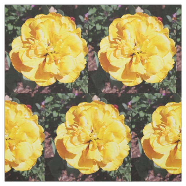 Tissu Falln Sunshine Floral (Échantillon)