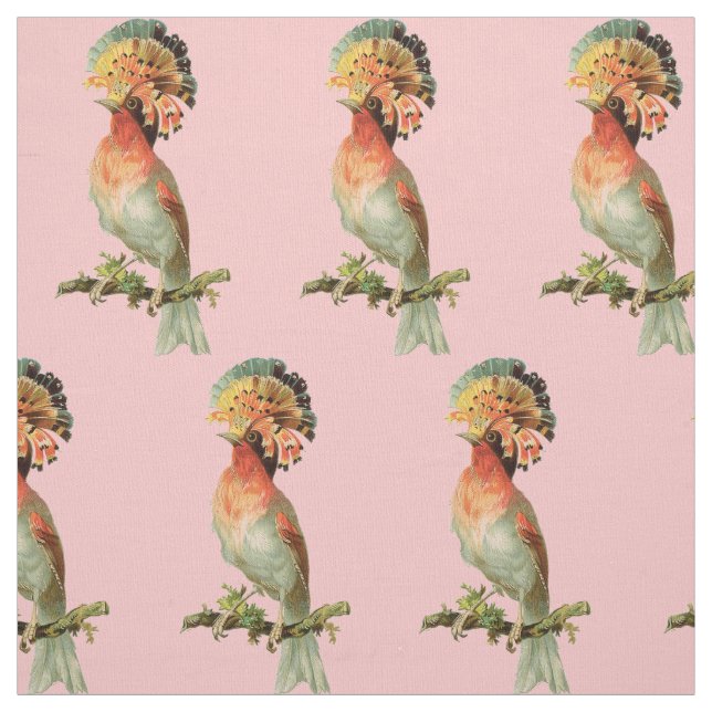 Tissu Fancy Vintage Bird (Échantillon)