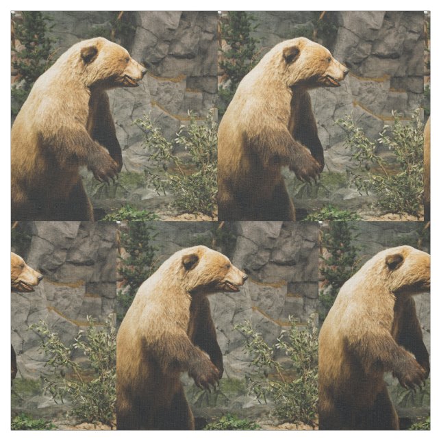 Tissu Fière Ours (Échantillon)