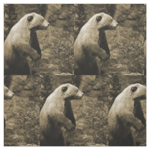 Tissu Fière Ours