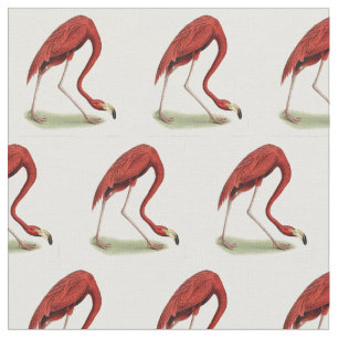 Tissu Flamant rose rose vintage #1