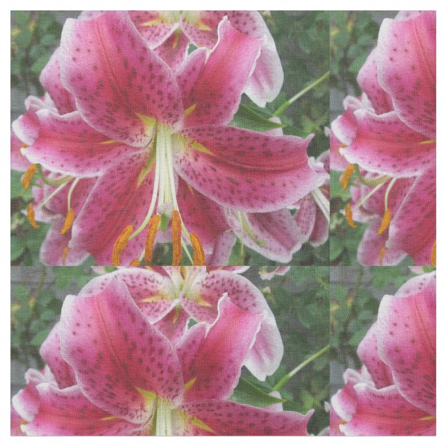 Tissu Fleur de pourpre d'astronome de lis (Fermer)