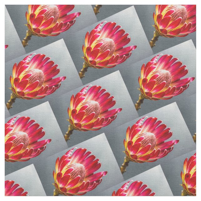 Tissu Fleur de Protea, motif de fleurs (Fermer)