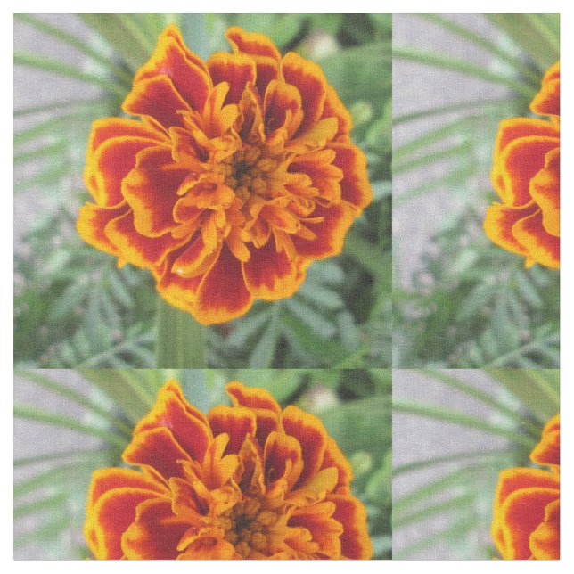 Tissu Fleur orange de souci (Fermer)