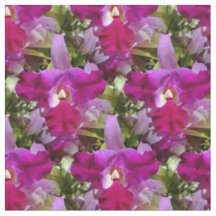 Tissu Fleur tropicale d'orchidée de Cattleya