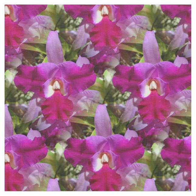 Tissu Fleur tropicale d'orchidée de Cattleya (Fermer)