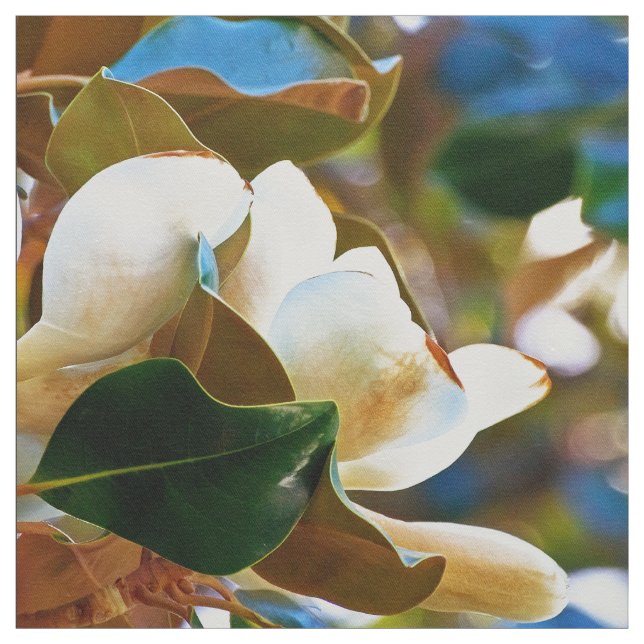 Tissu Fleurs blanches de magnolia (Échantillon)