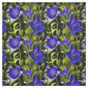 Tissu Fleurs bleues Motif de la nature