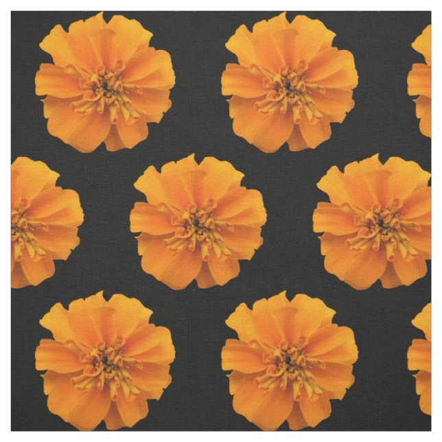 Tissu Fleurs de Marigold orange sur Arrière - plan noir (Échantillon)