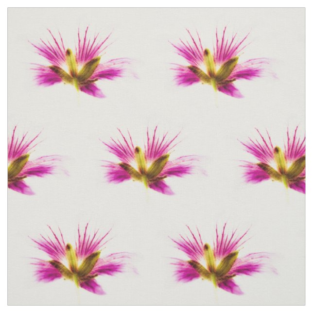 Tissu Fleurs de plumes printanières (Échantillon)