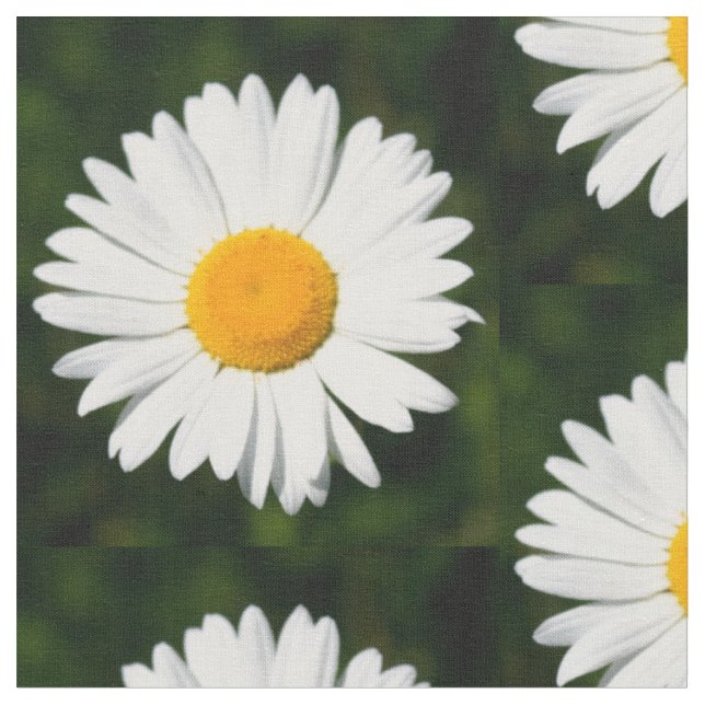 Tissu fleurs marguerites sur motif vert (Fermer)