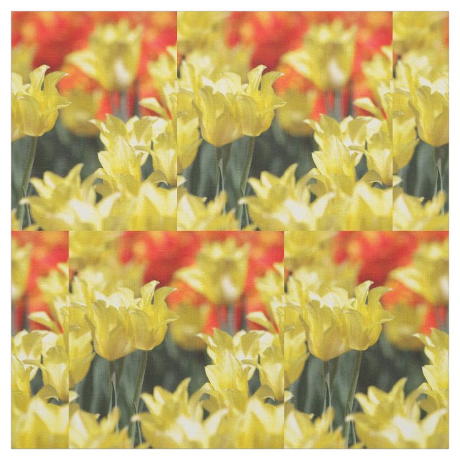 Tissu Flore tombée Été Glow (Échantillon)
