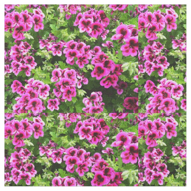 Tissu "Flores vives : Geraniums roses chauds sur Bush lu (Fermer)