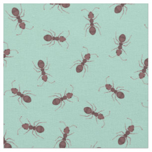 Tissu Fourmis Marron Illustrées sur Turquoise Clair