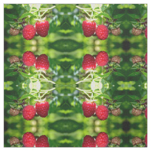 Tissu Framboise