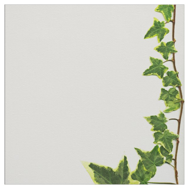 Tissu Frontière de lierre (Échantillon)