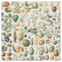 Fruits d'Adolphe Millot
